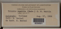 Image Associated With the Occurence
